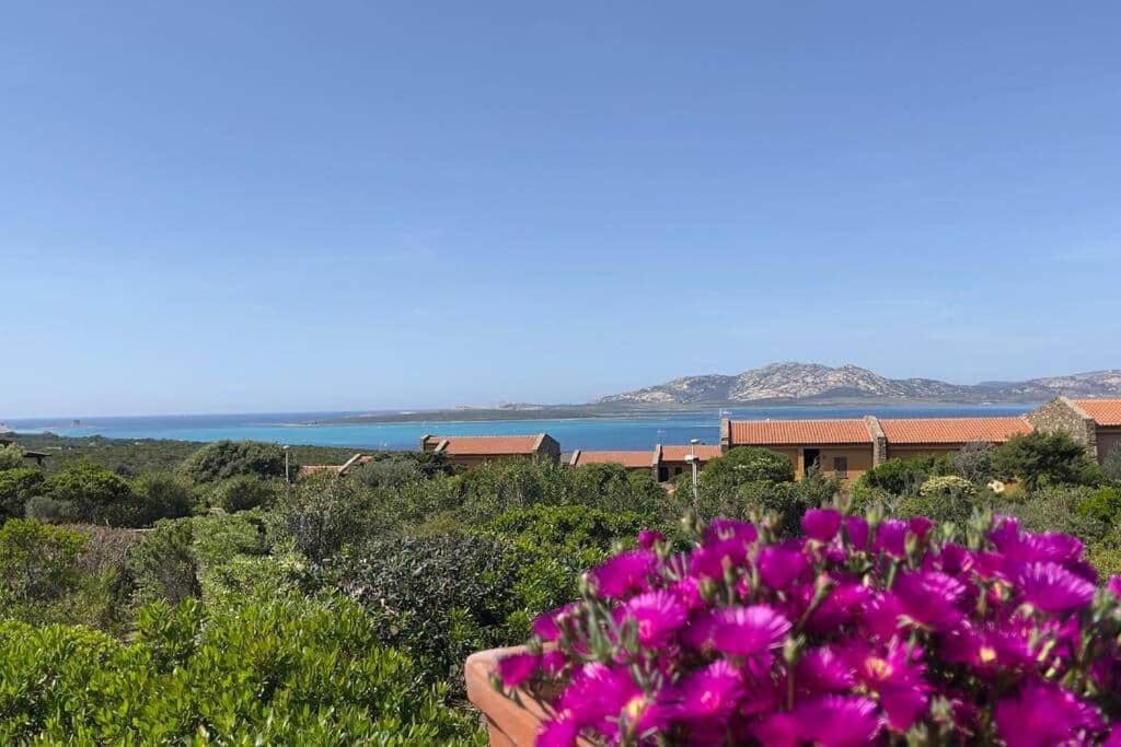 Appartamento Terrazza Vista Mare Stintino Esterno foto