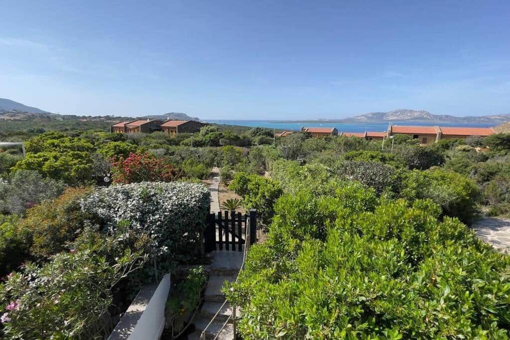 Appartamento Terrazza Vista Mare Stintino Esterno foto